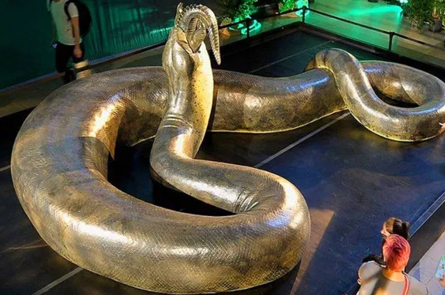 Top-10-Longest-Snakes-In-The-World- Titanoboa