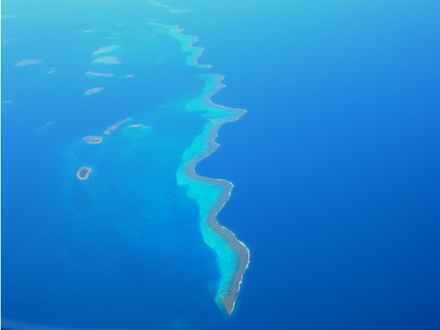  top 10 largest coral reefs in the world-New Caledonia Barrier Reef