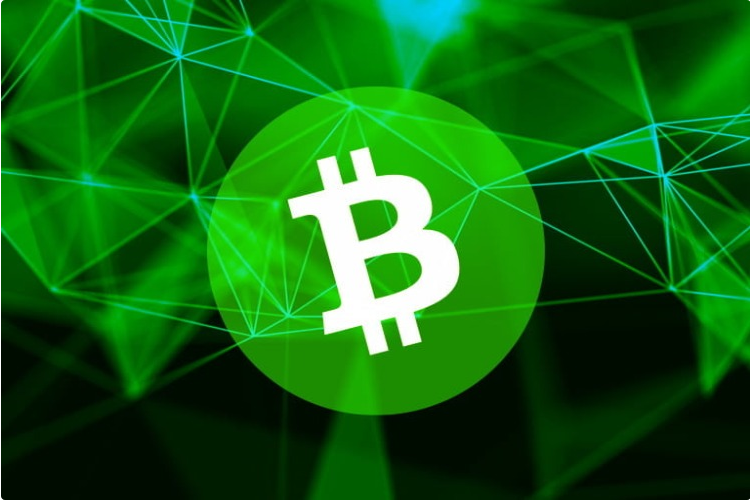 Top 10 Cryptocurrencies In The World Bitcoin Cash